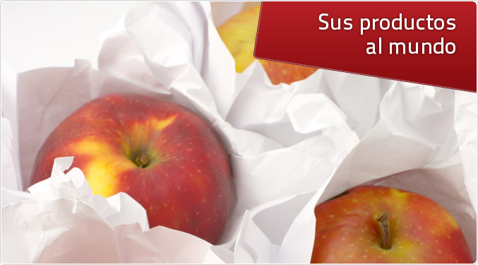 Procesadora de Papel