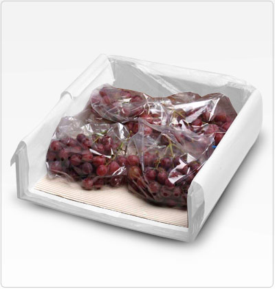 Propel - Carton Corrugado Propel - Carton Corrugado