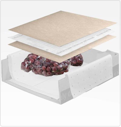 Propel - Papel Gofrado absorvente para uva